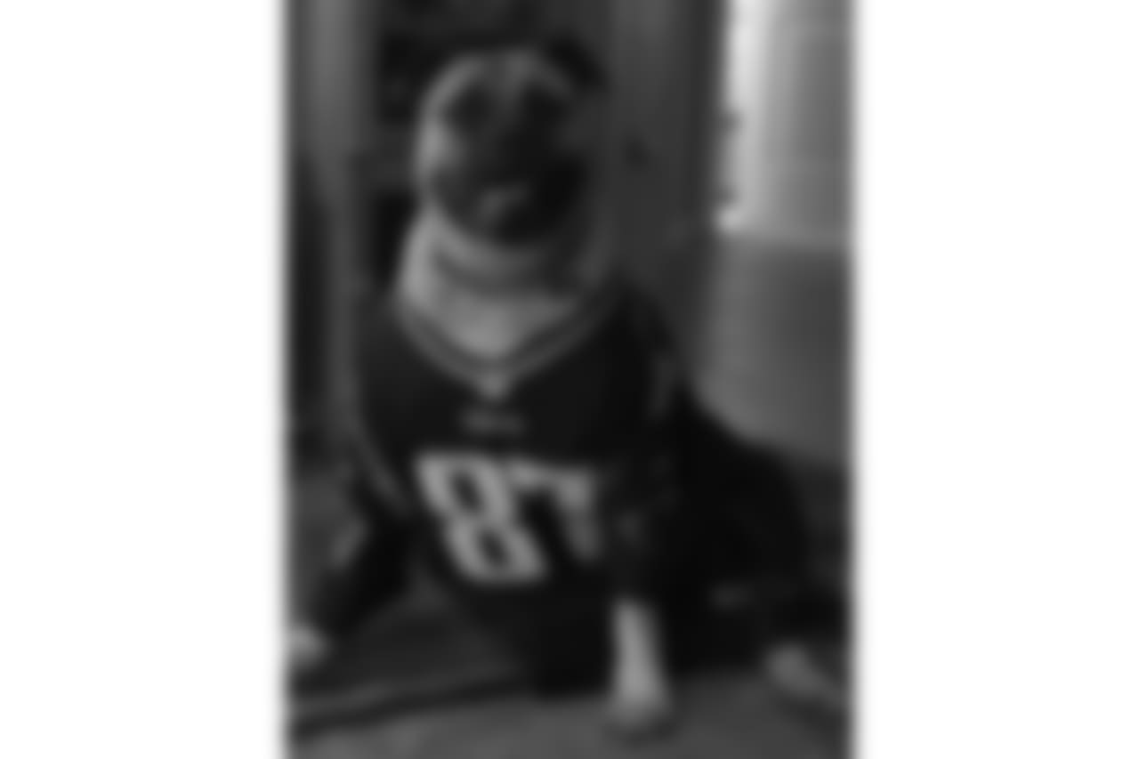 53270_8_2379218282.jpg