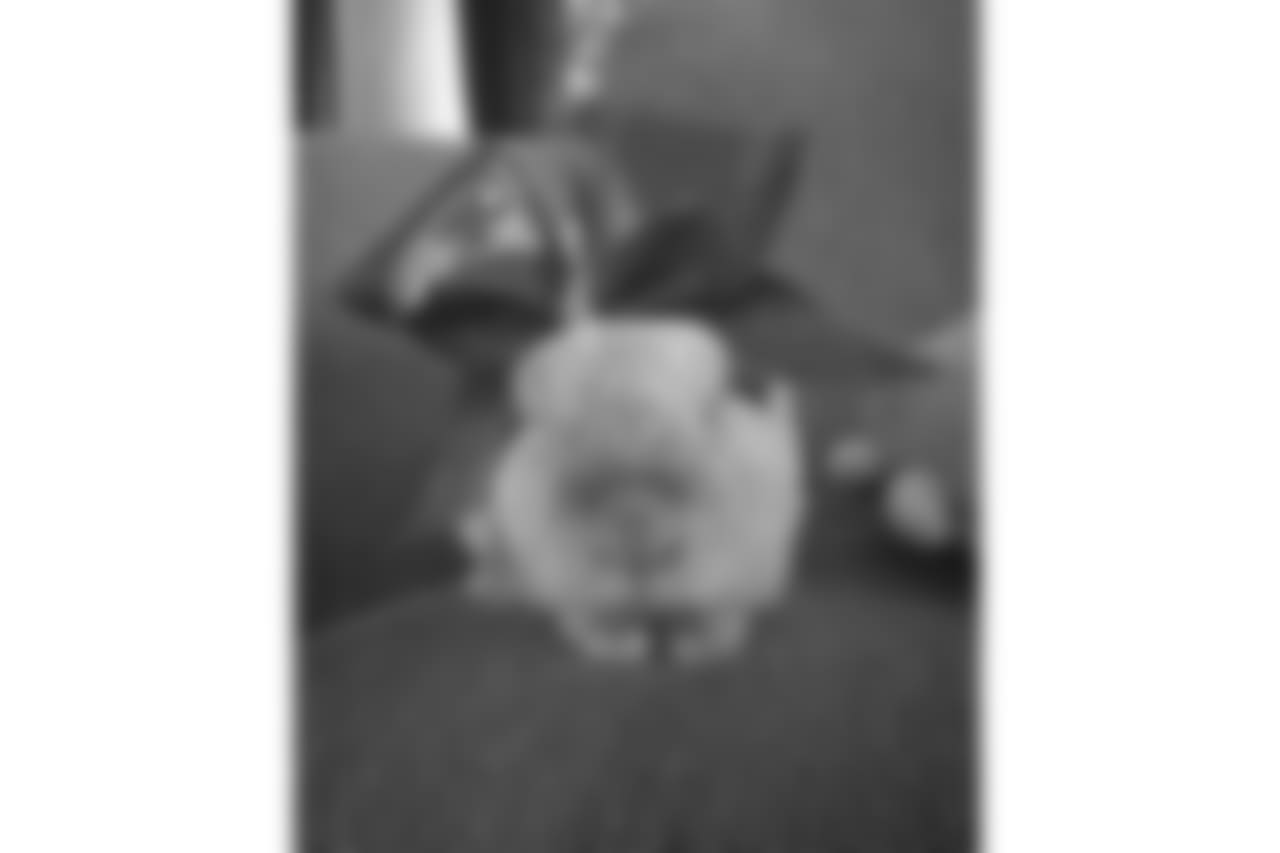 53270_8_345054574.jpg