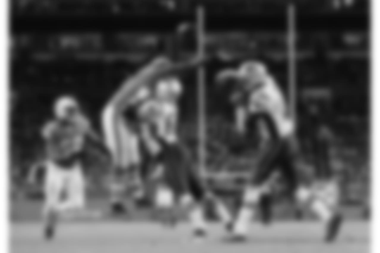 20171211_dolphins_silverman687.jpg