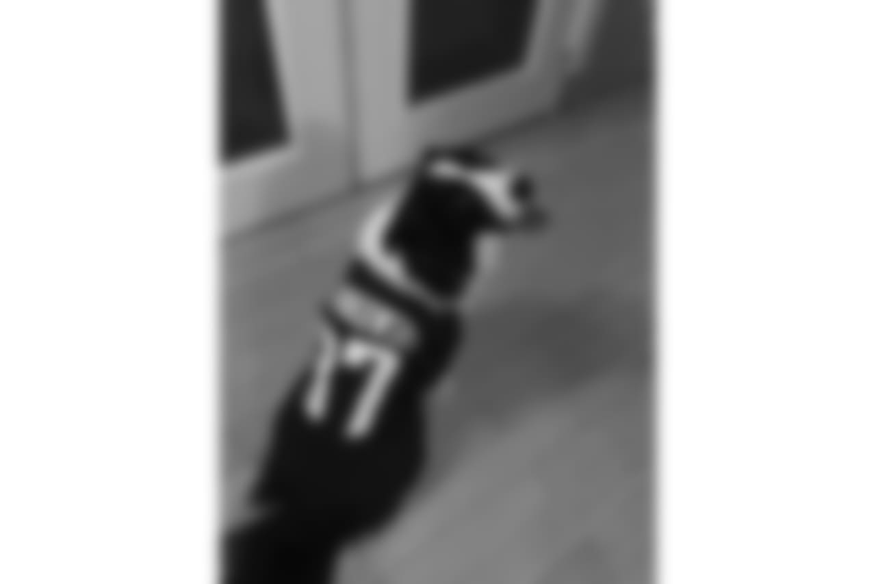 21641619_10155062177077153_202063537_n.jpg