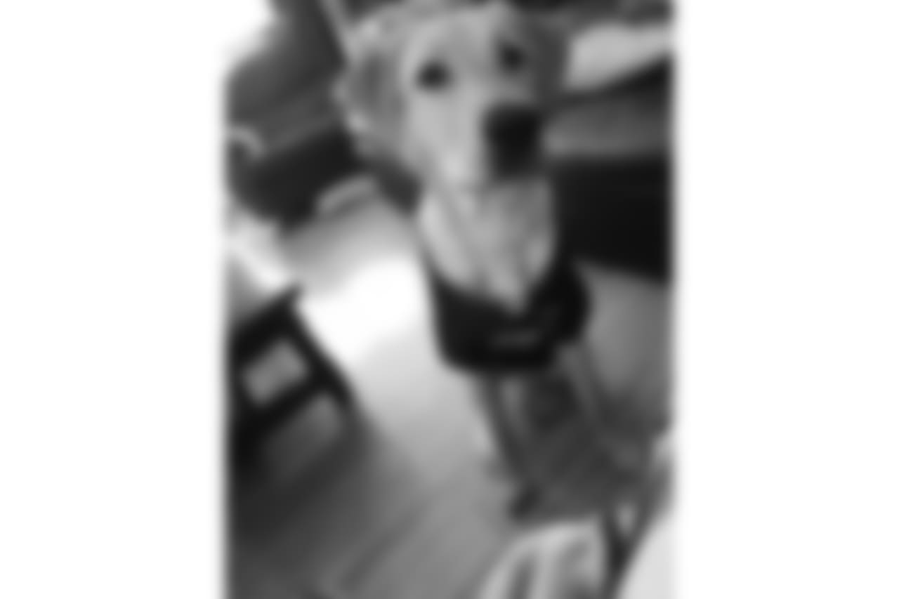 53270_8_310326071.jpg