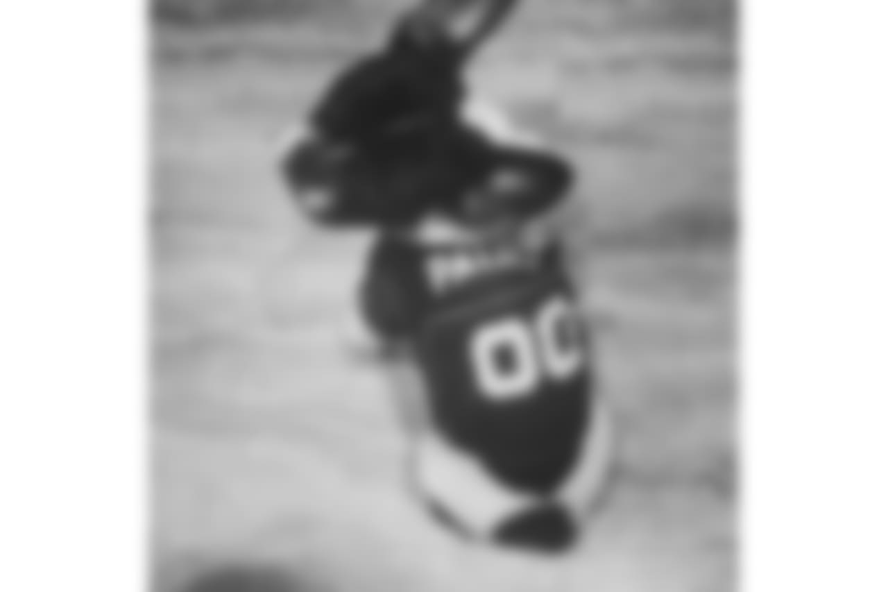 53270_8_324869430.jpg