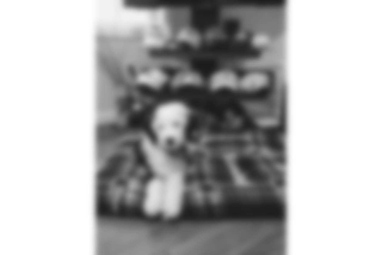 53270_8_1567653887.jpg