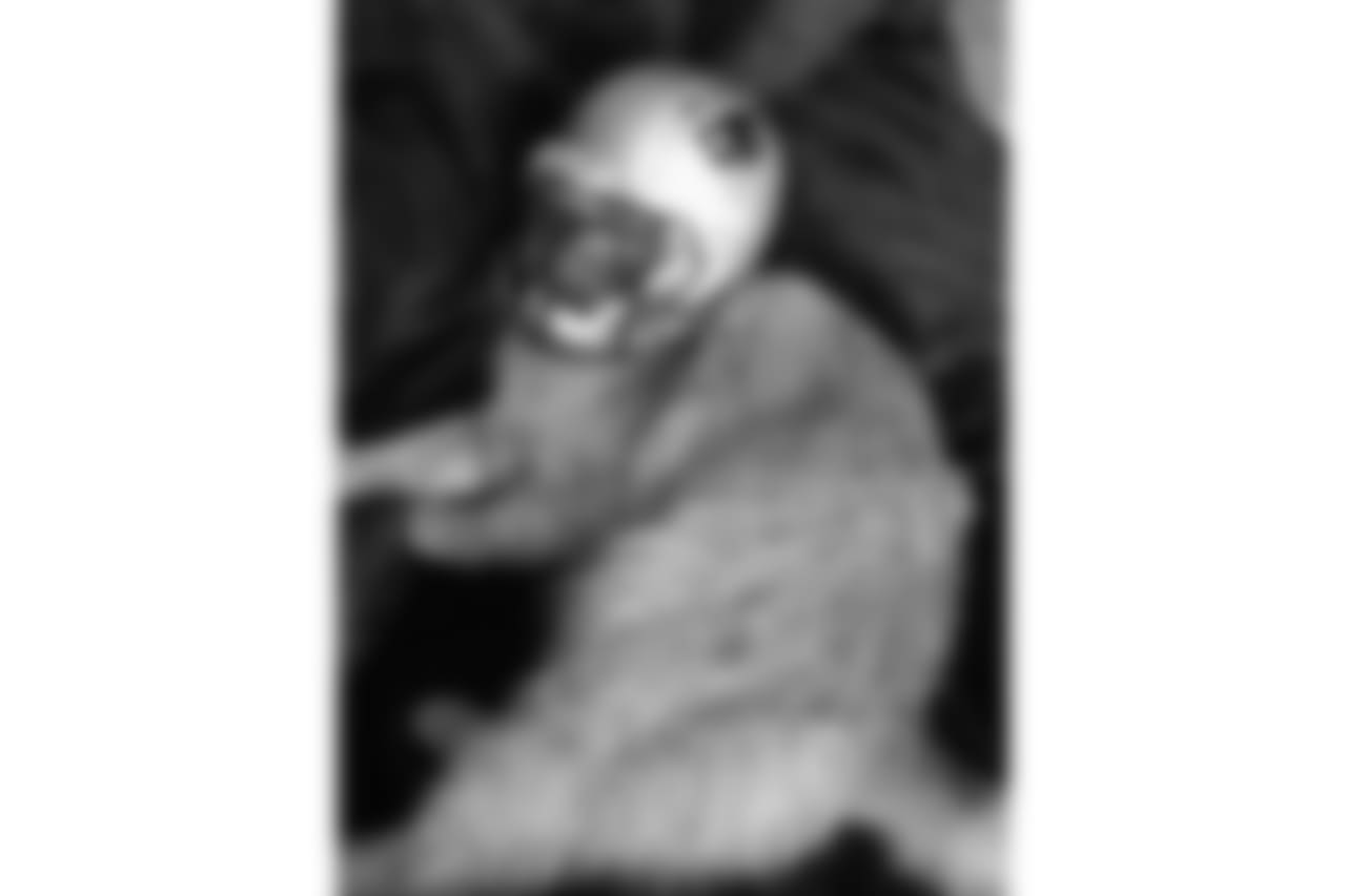 53270_8_4081618589
