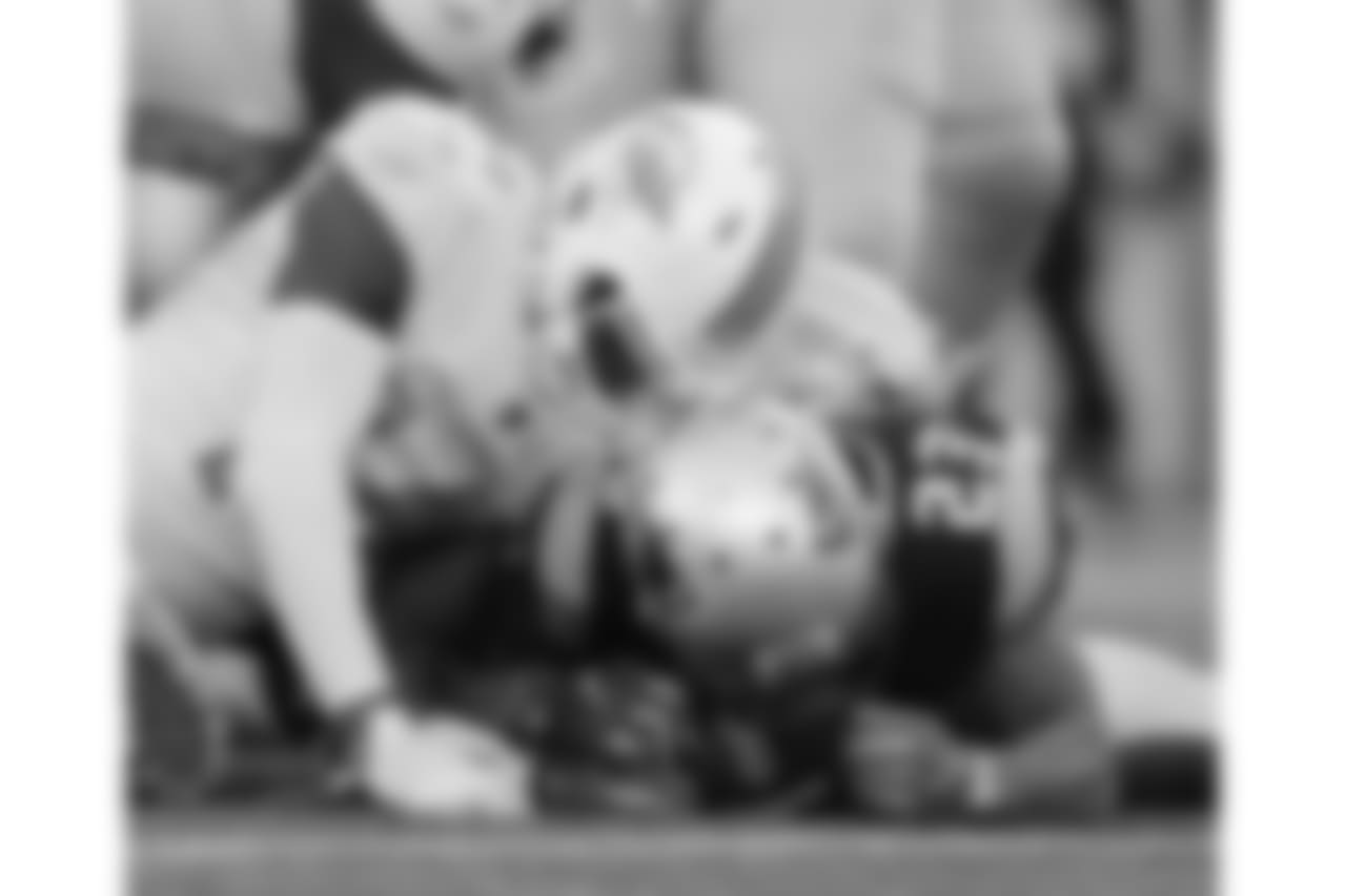 20171126_dolphins_silverman441.jpg