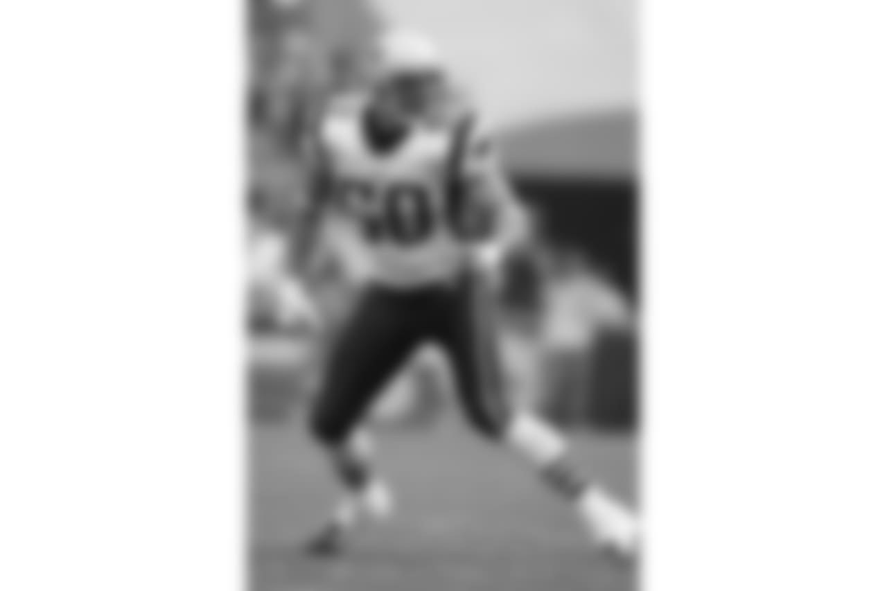 vrabel_2.jpg