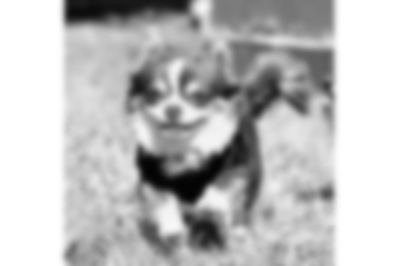 21909852_1531903426890127_6321287348189396992_n.jpg