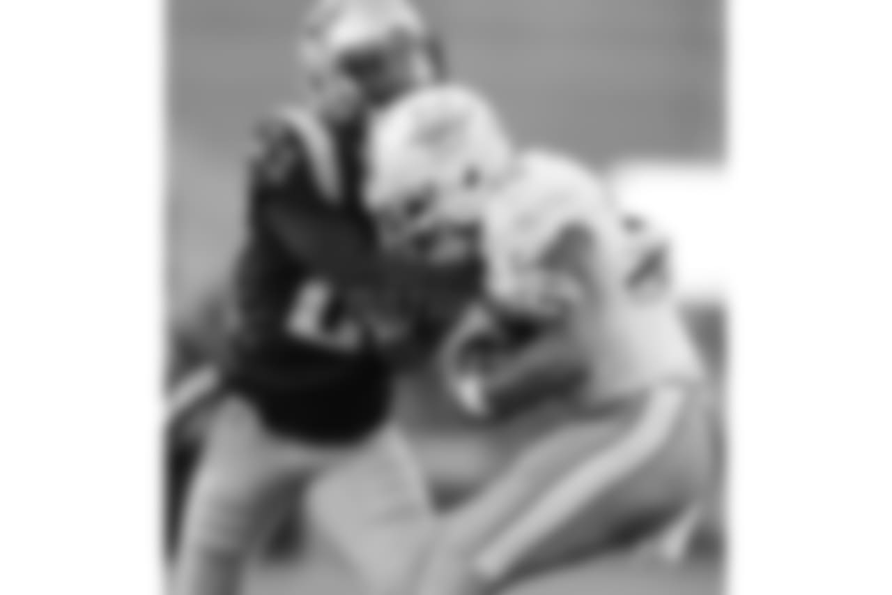 20171126_dolphins_silverman443.jpg