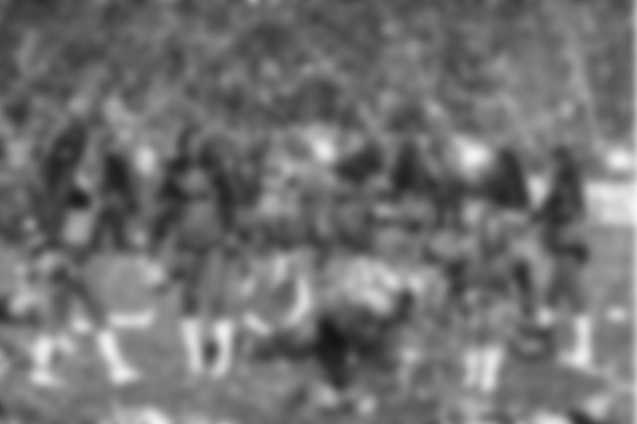 ddd13832-watermarked.jpg