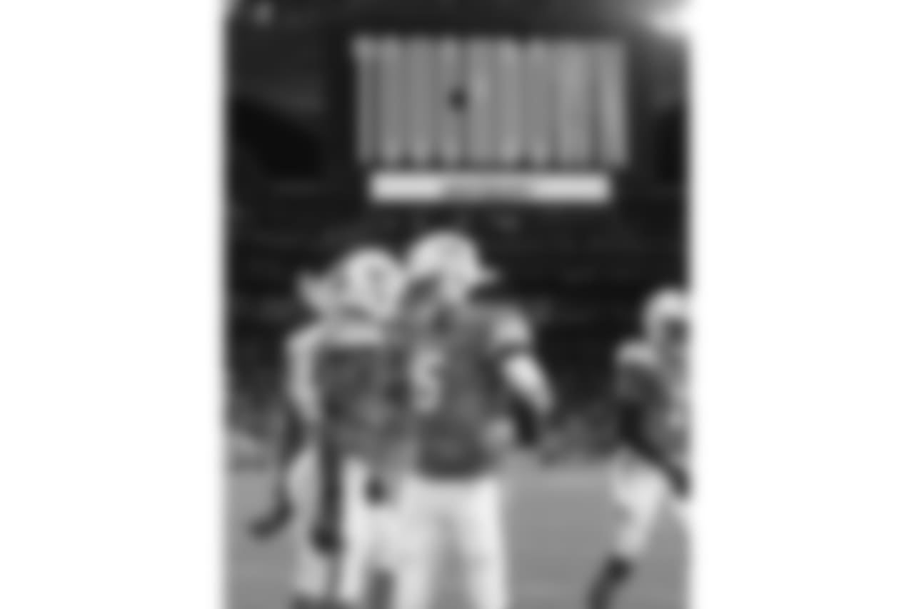 20171211_dolphins_silverman686.jpg