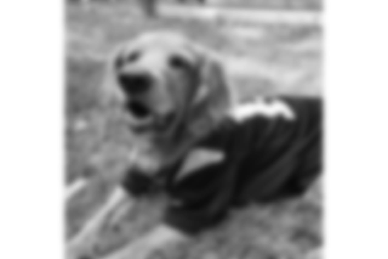 21909345_1782130631806661_5185840914458738688_n.jpg