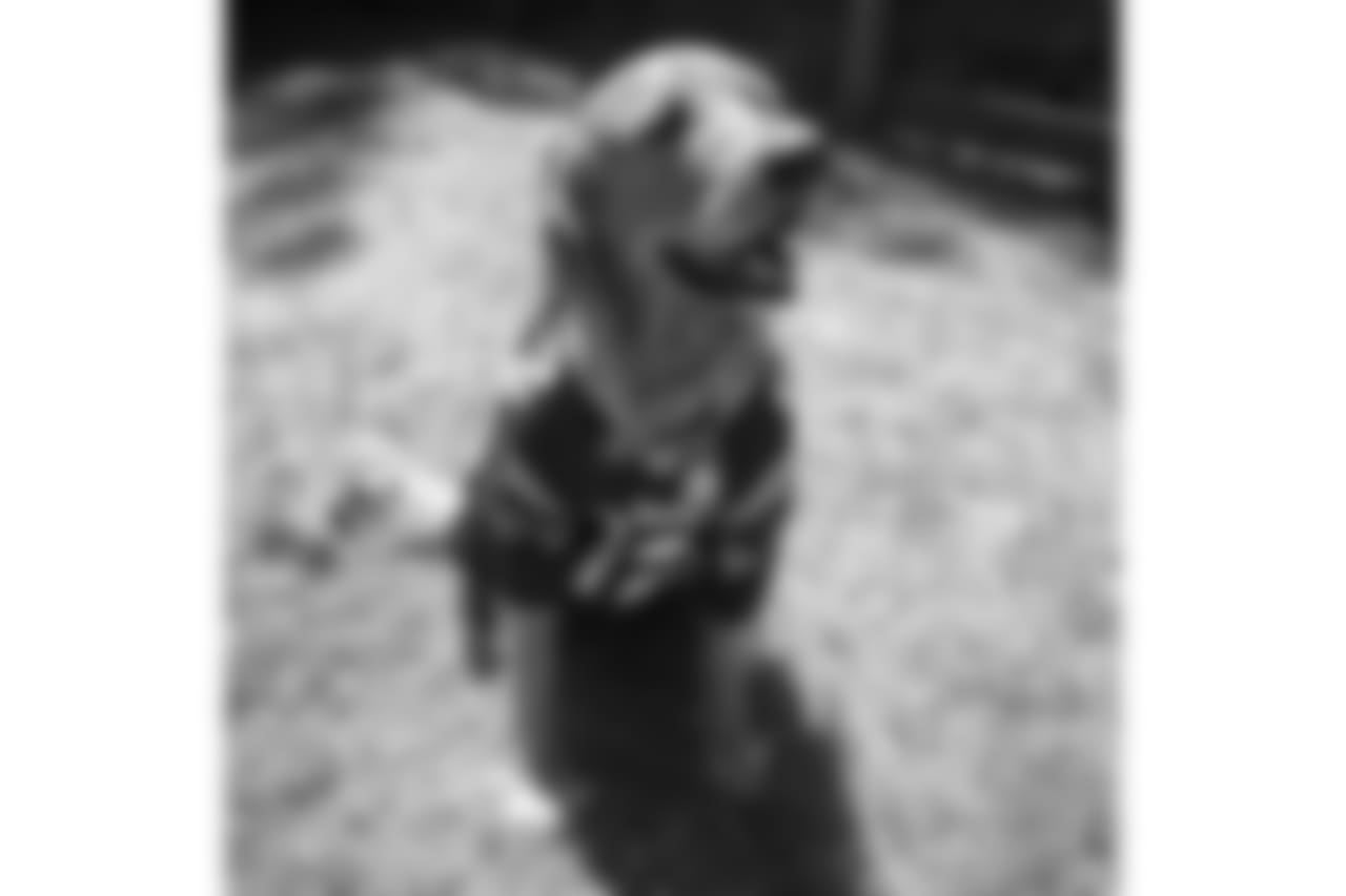 21373167_1062667337169774_8007654640046833664_n.jpg