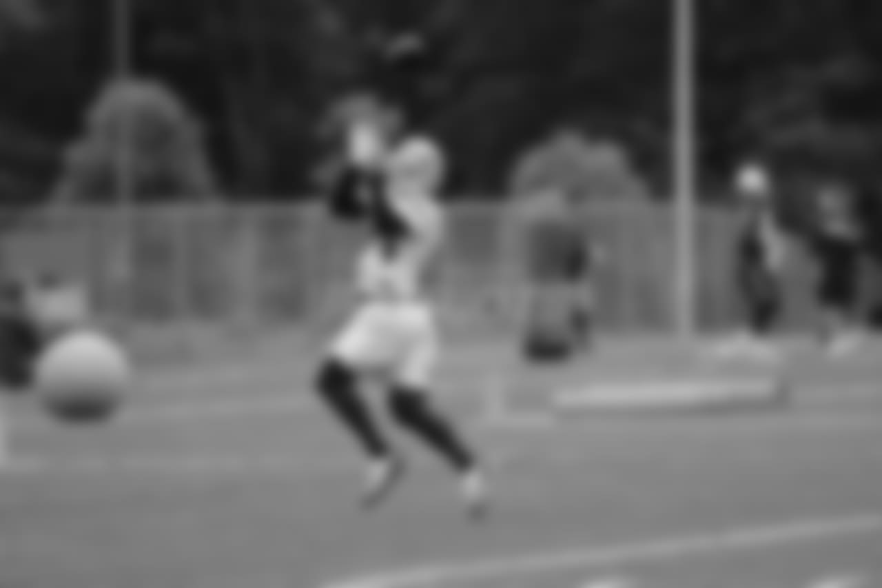 Rex Burkhead (34).