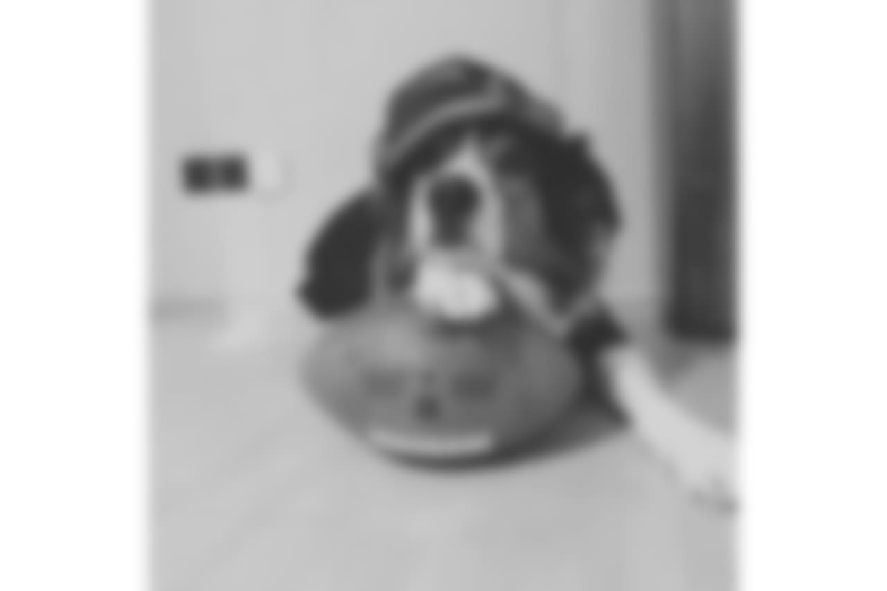53270_8_1830994827