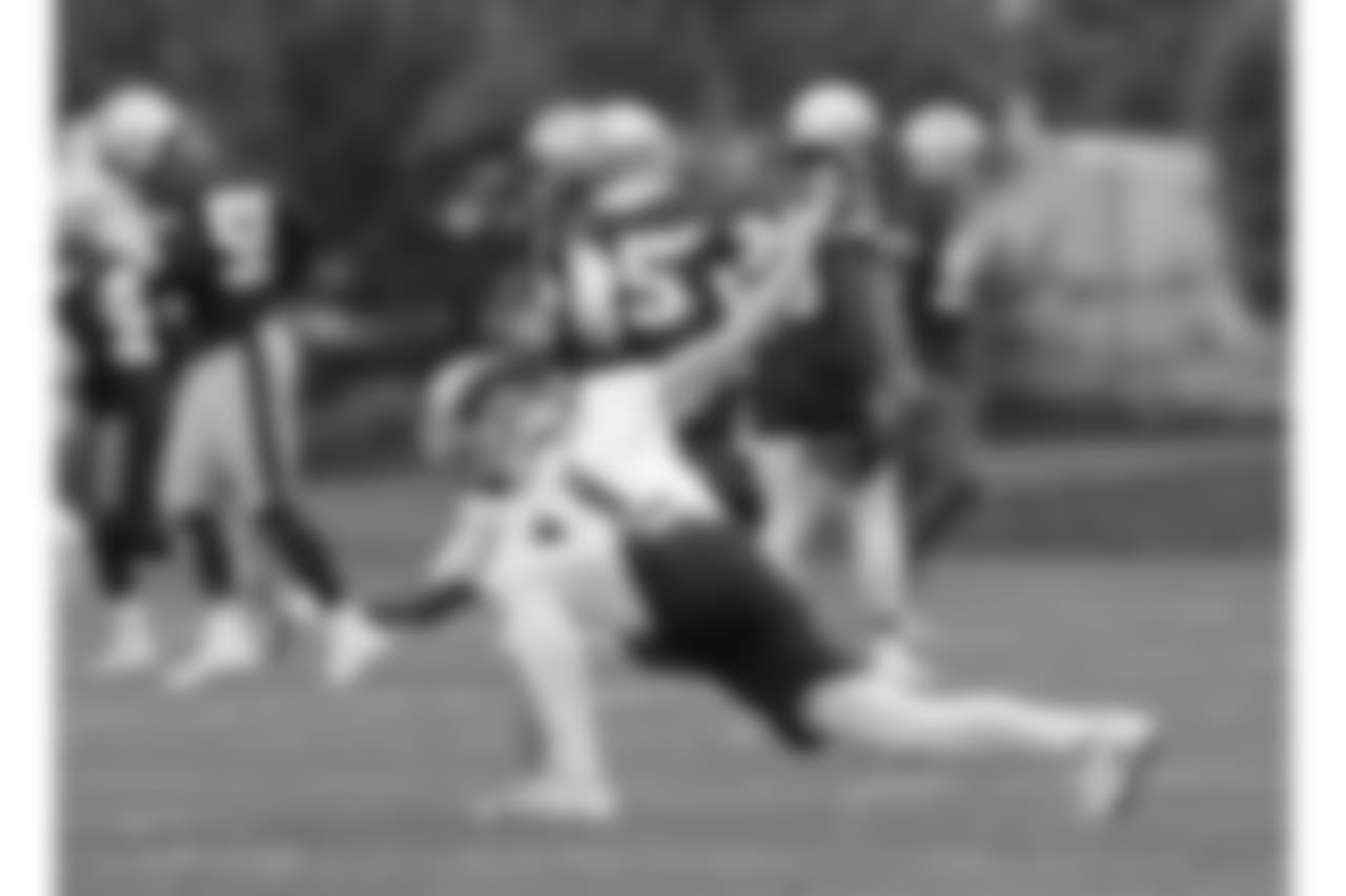 Julian Edelman.