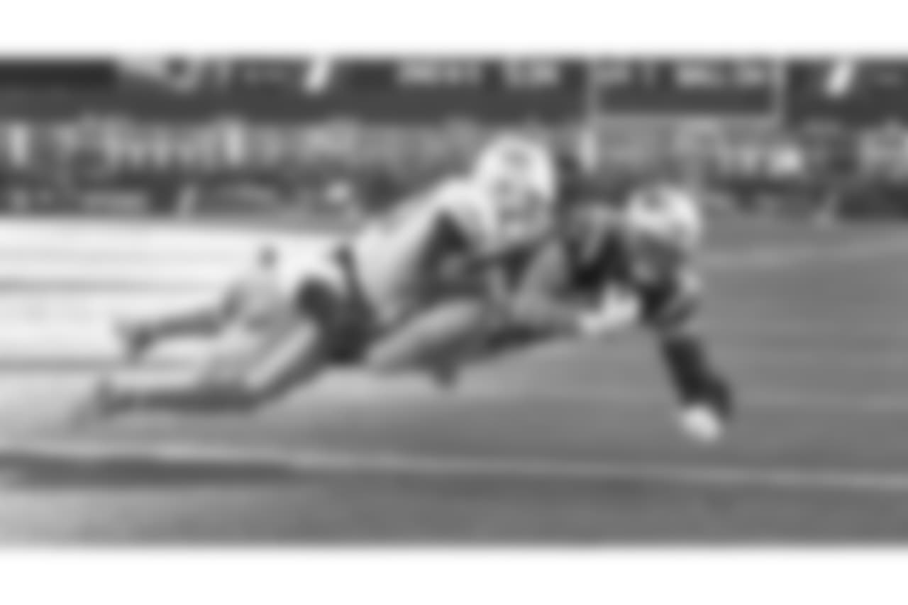 20171126_dolphins_nordstrom530.jpg