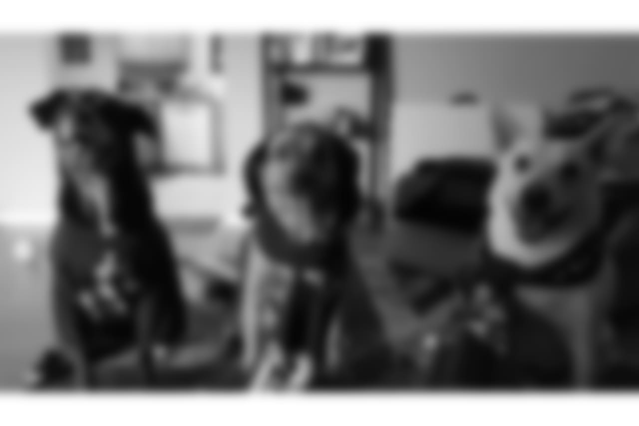 53270_8_4151821590