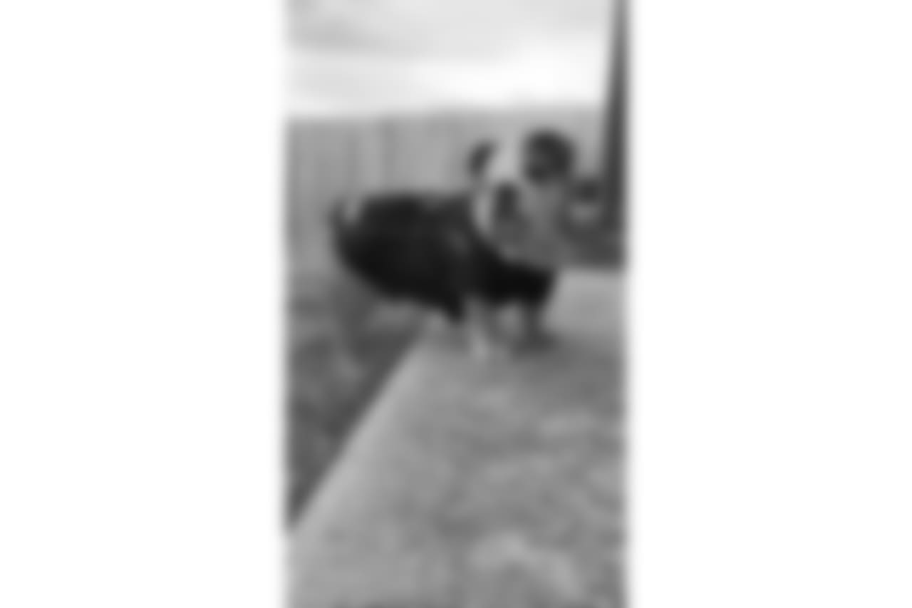 53270_8_282866477