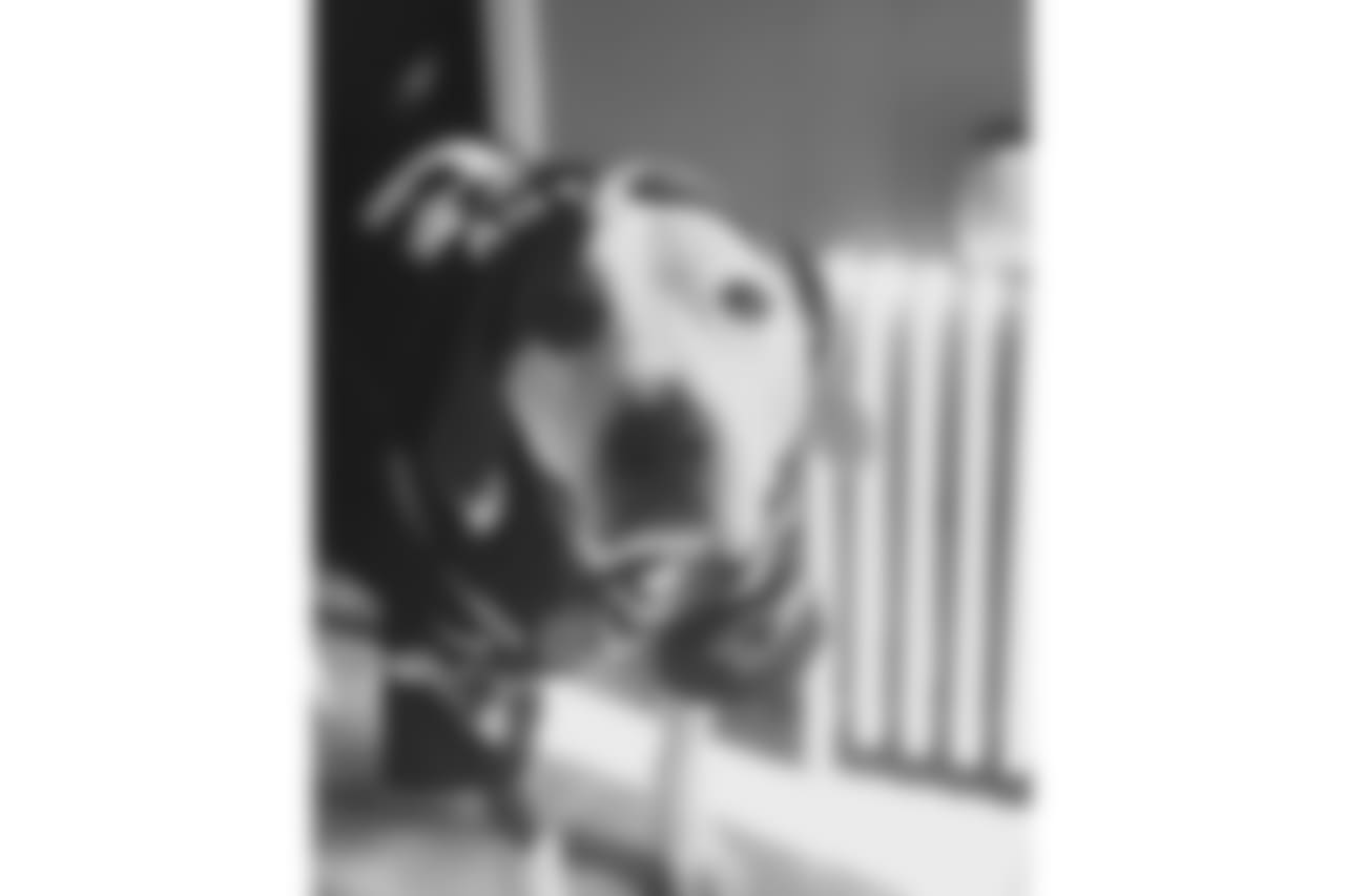 53270_8_2002526681.jpg