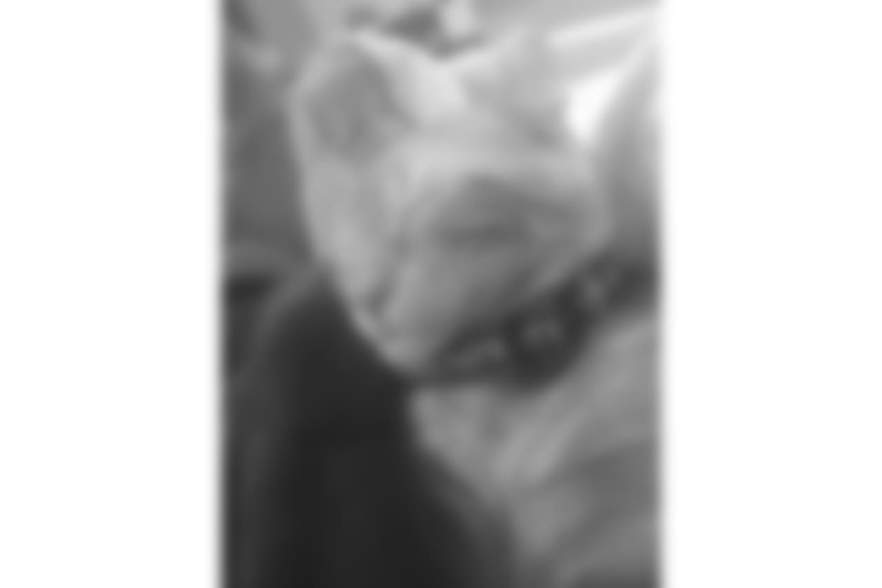 23140536_10215124812857776_1649315182_n.jpg