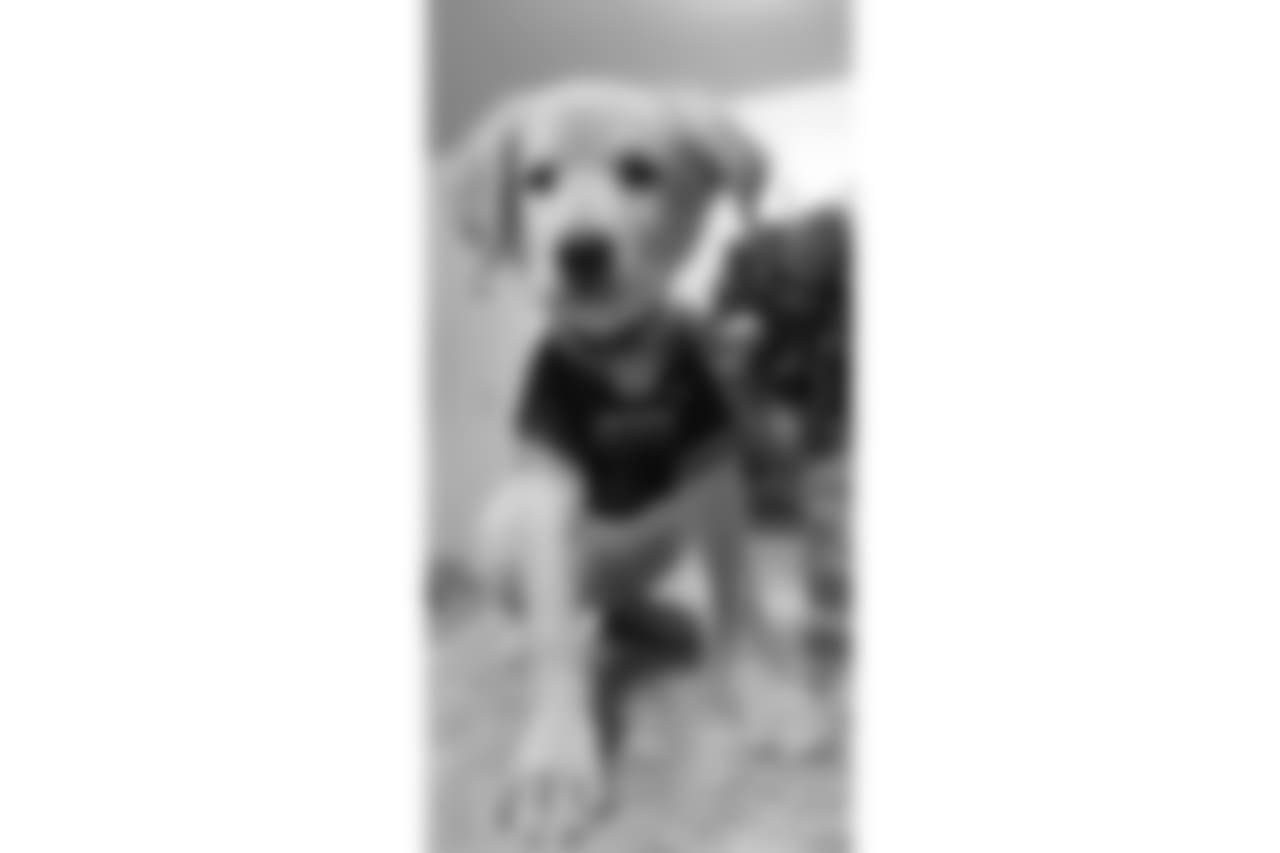 23192737_1510309045723502_1628079418_n.jpg