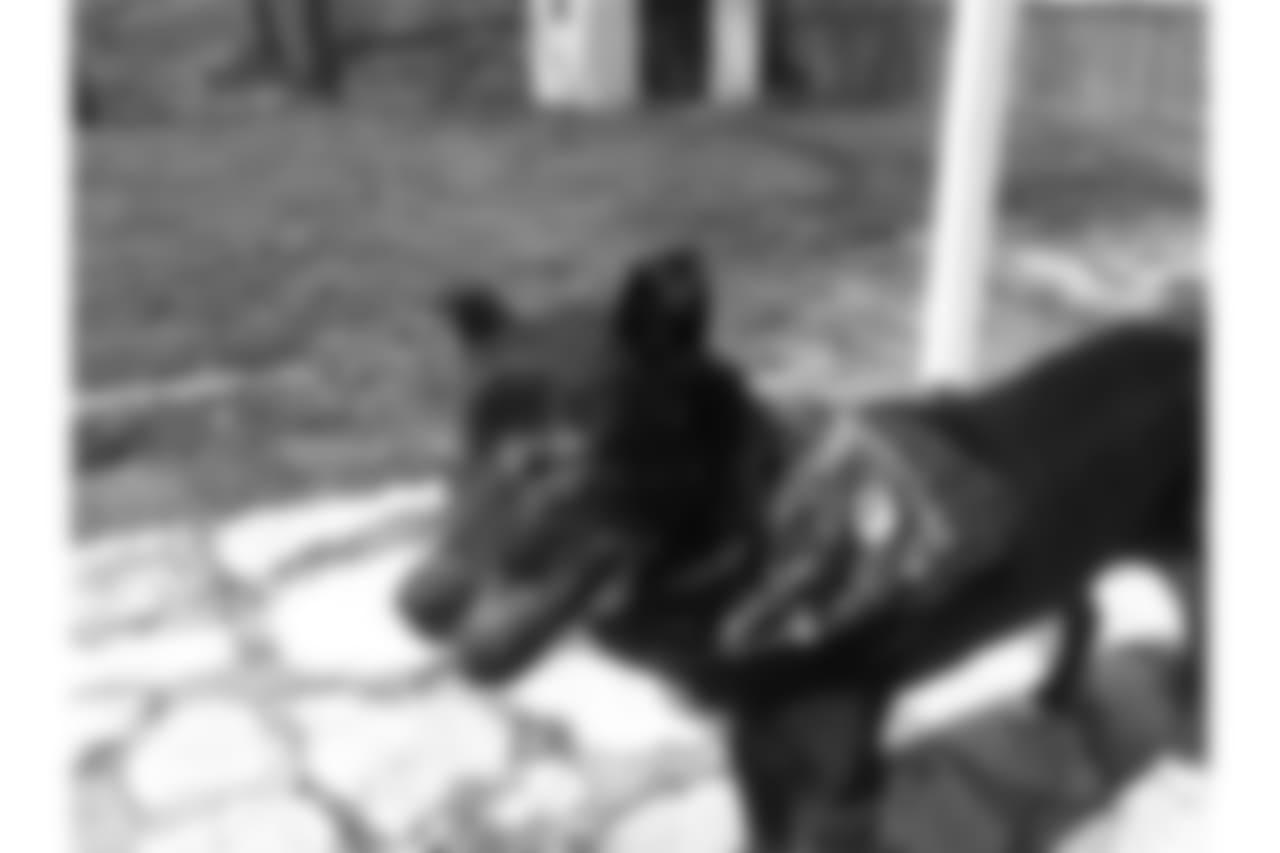 53270_8_236137380.jpg