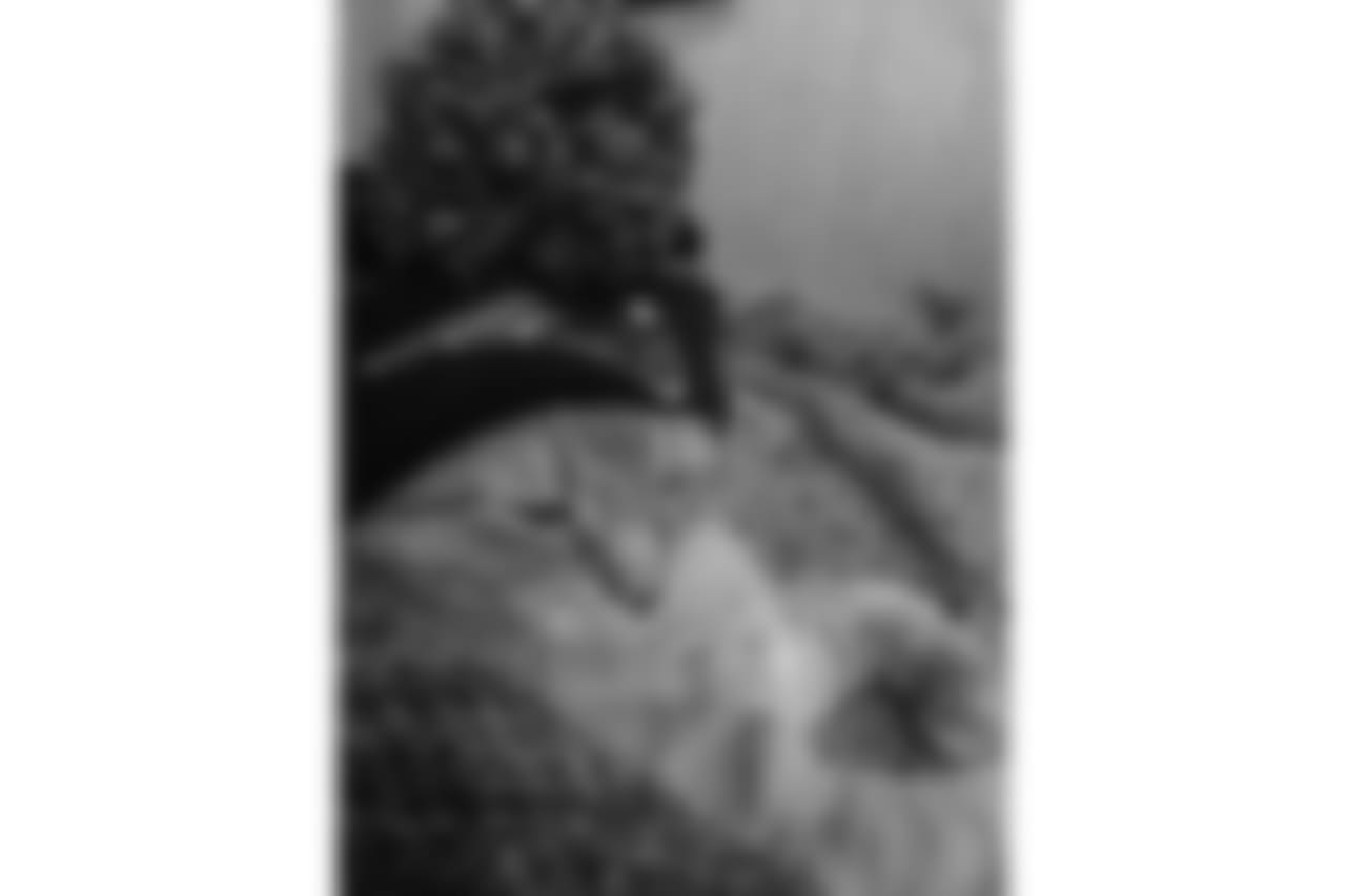 53270_8_1158225859.jpg