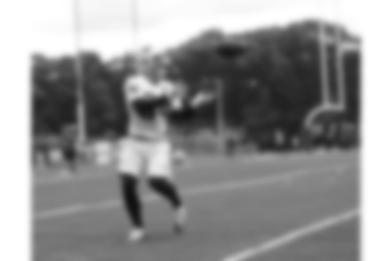 Rex Burkhead (34).
