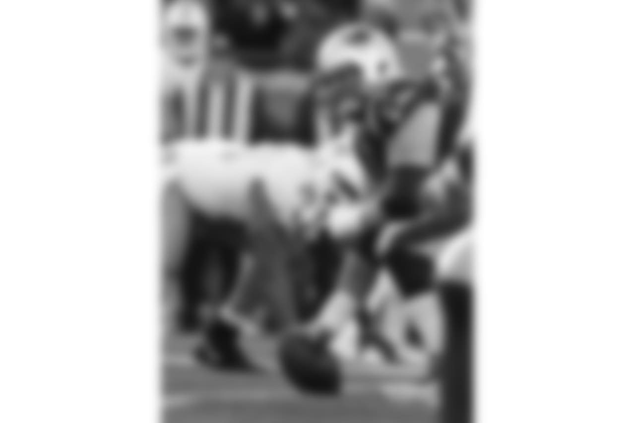 20171126_dolphins_silverman470.jpg