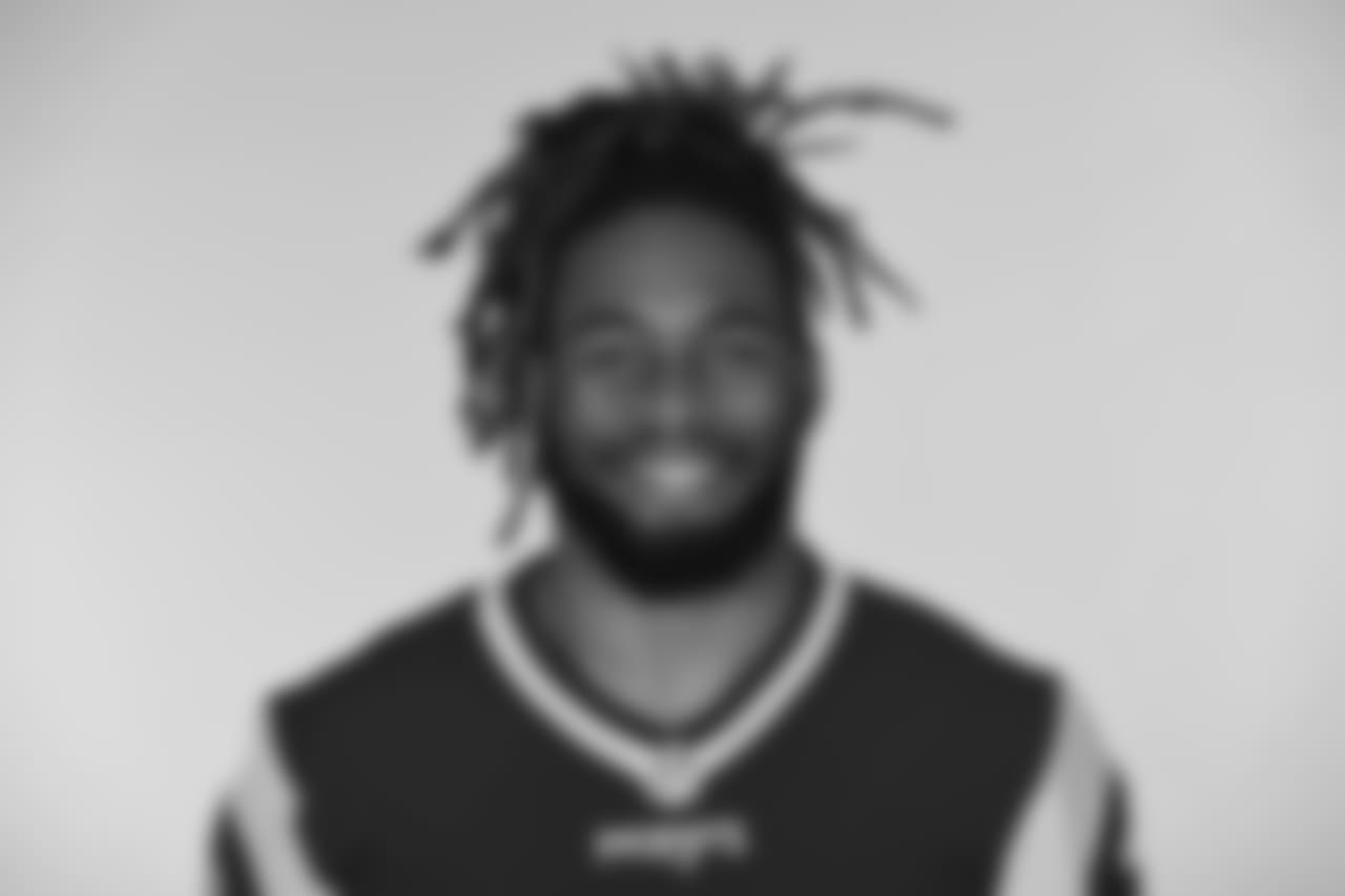 Brandon Bolden (2017 Photo).