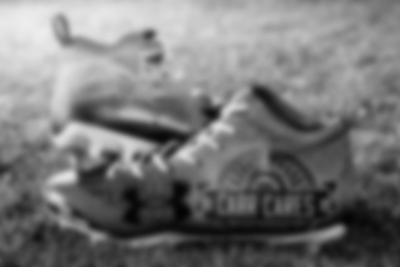 CB Brandon Carr
Cause: Carr Cares Foundation