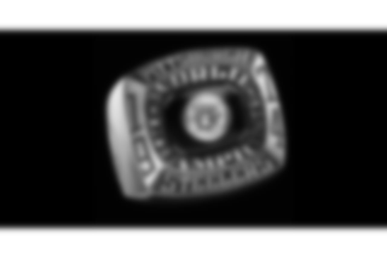 Pittsburgh Steelers SB IX