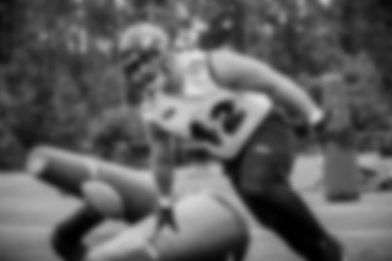 FB/DL Patrick Ricard