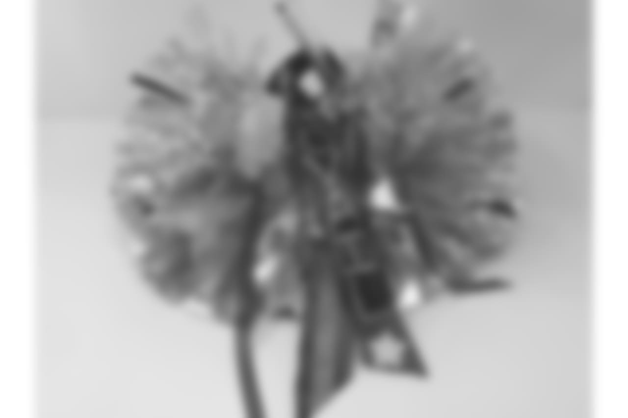 jessicas.jpg
