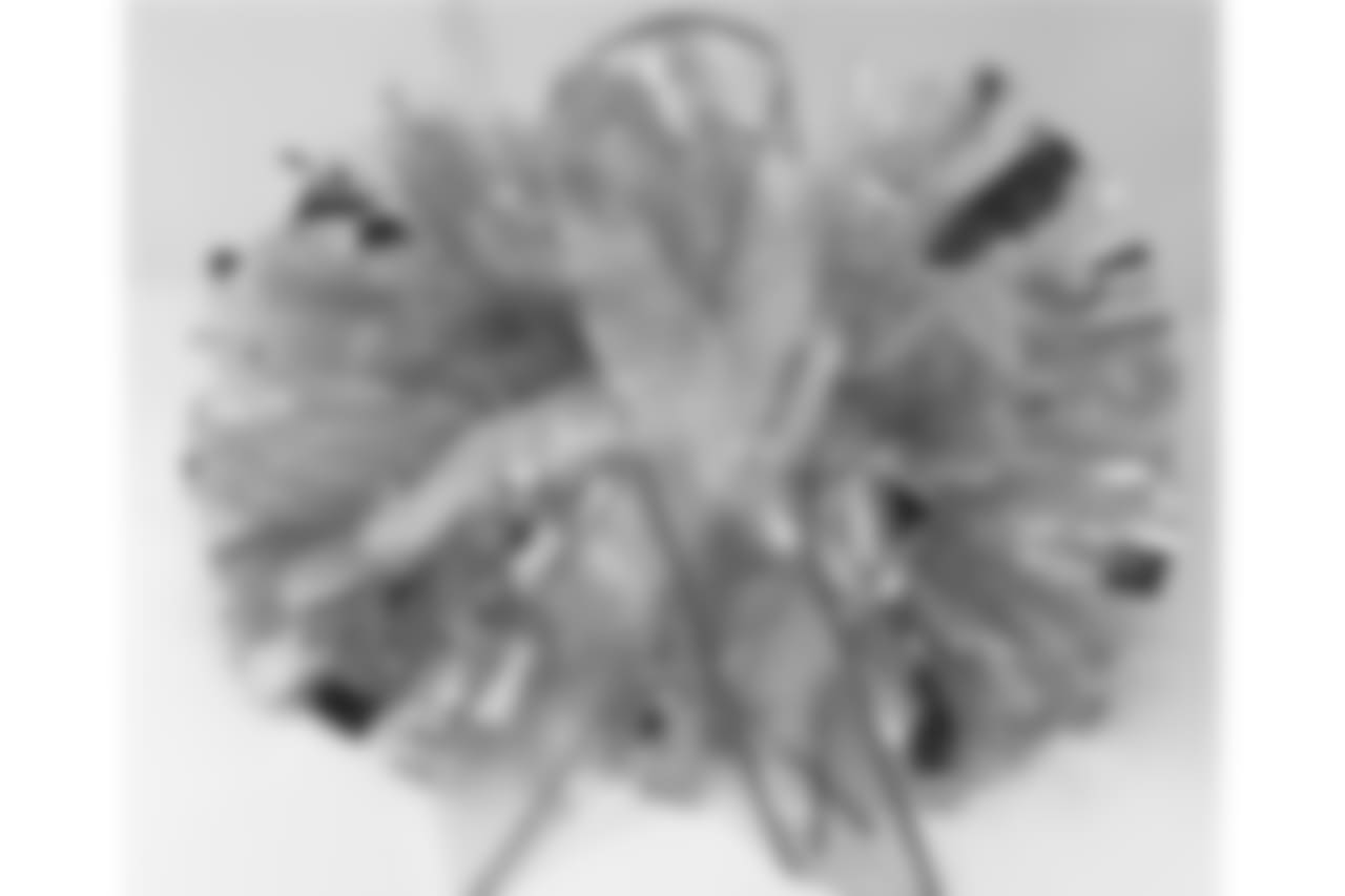 image1.jpeg