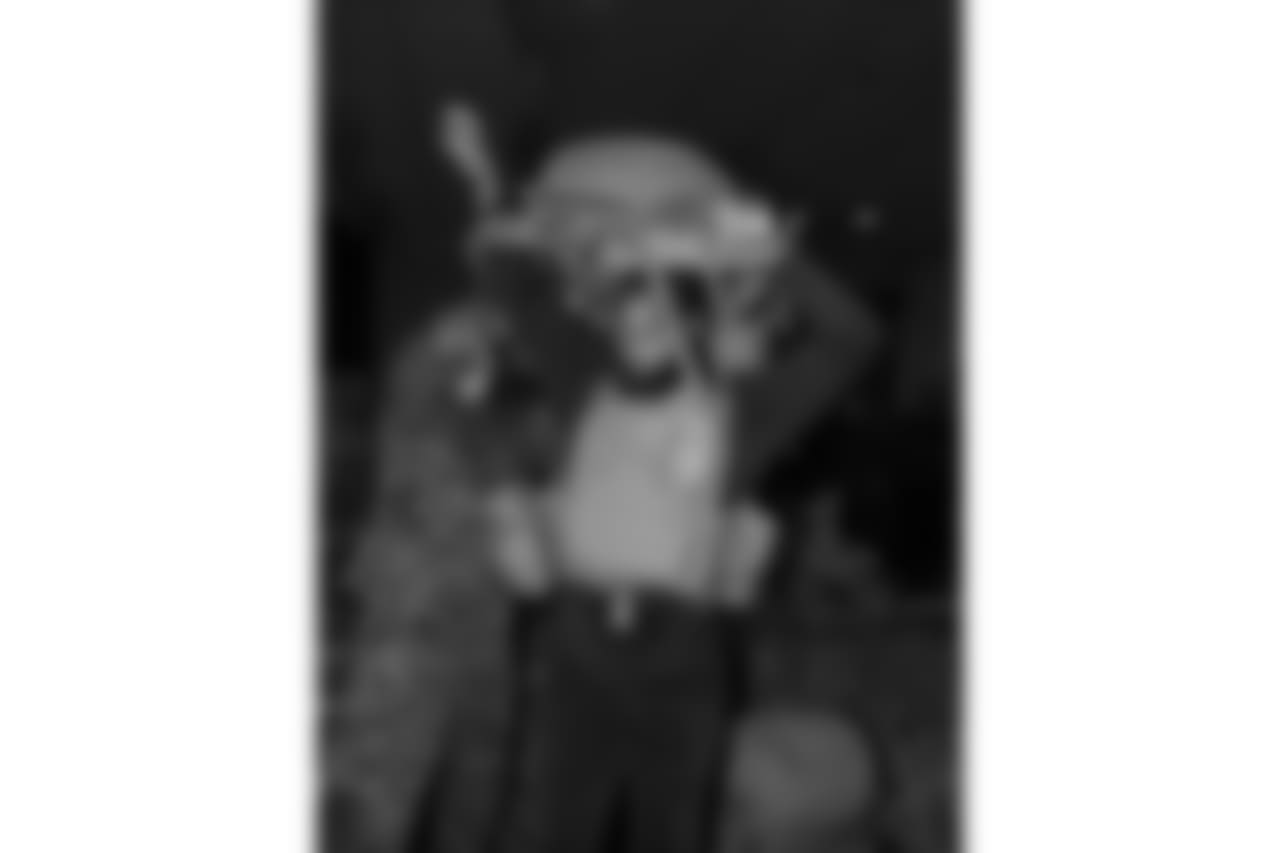 cst_am4i5163.jpg