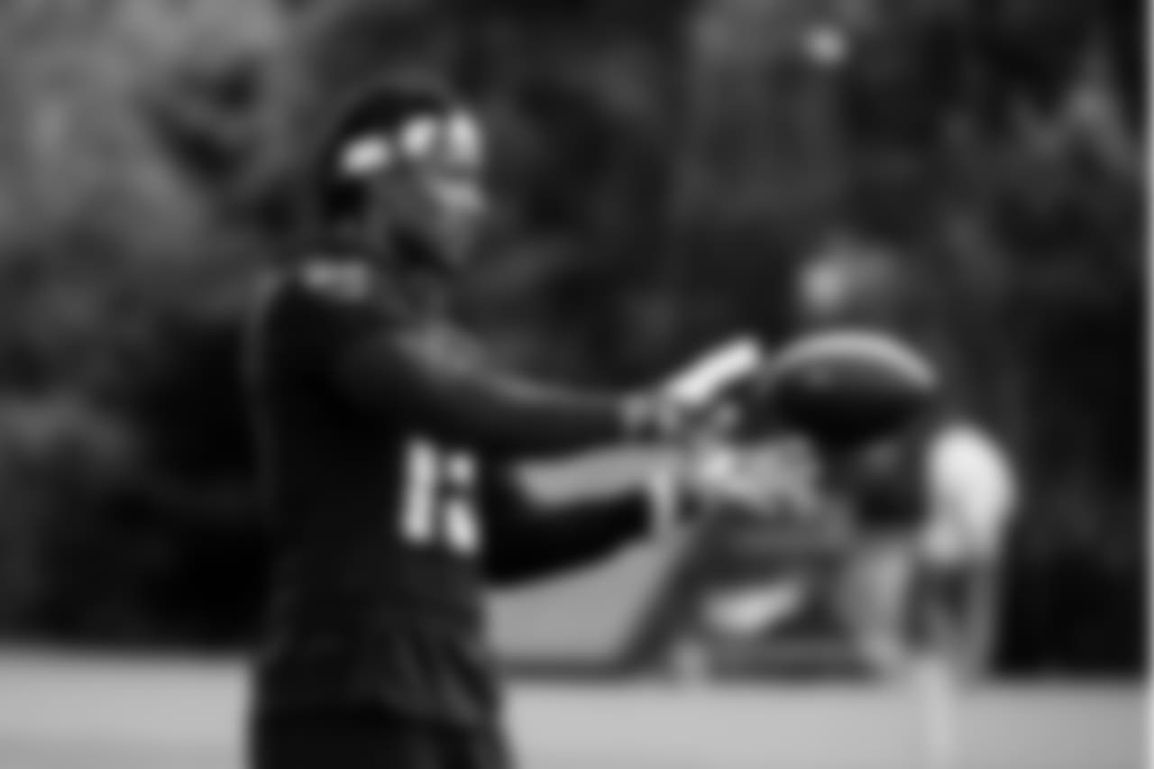 WR Brandon Marshall