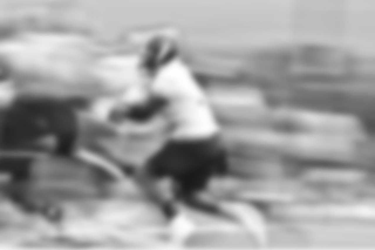 Stevan Ridley