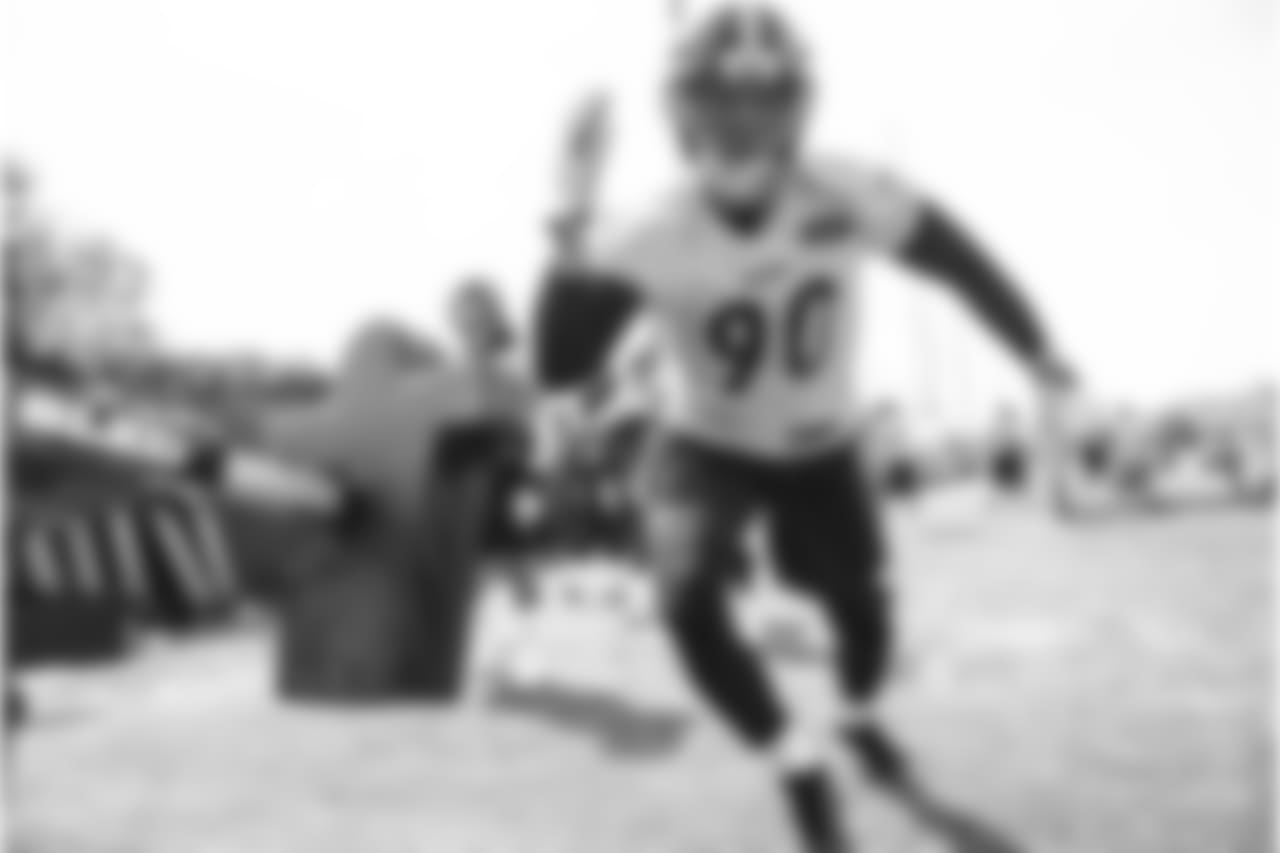 T.J. Watt