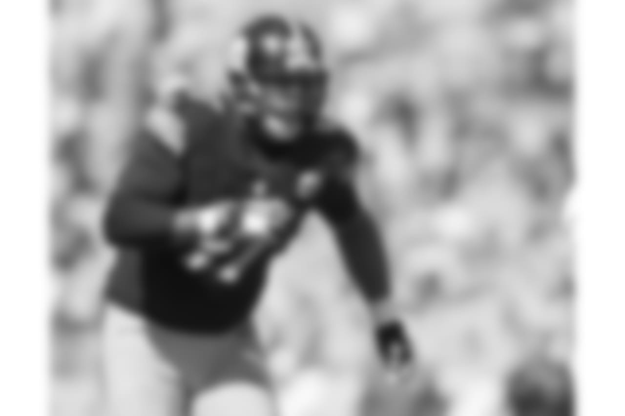 Cameron Heyward (2011-Present)