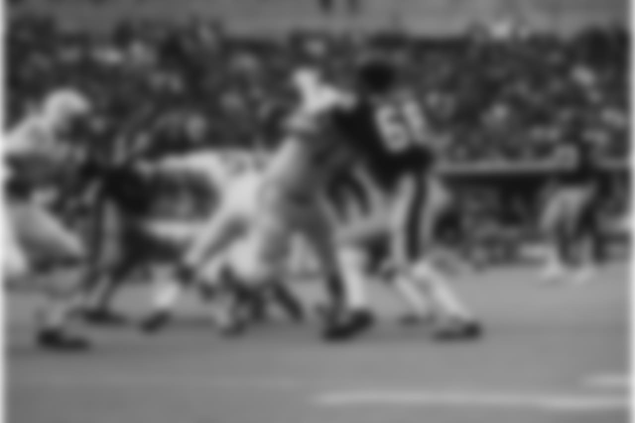 3. L.C. Greenwood (69-81) - 73.5 career QB sacks.