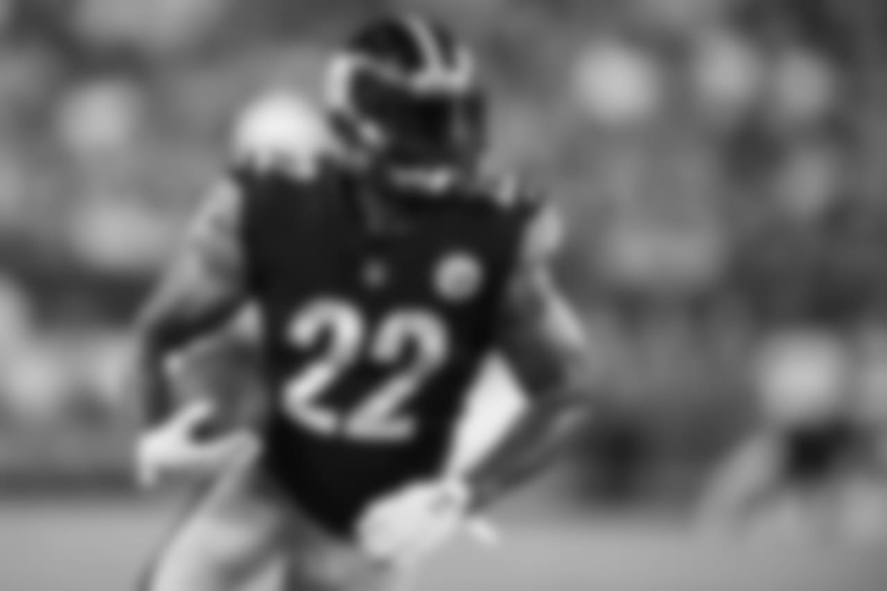 Stevan Ridley