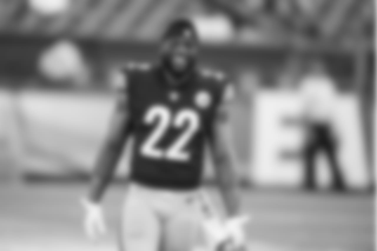 Stevan Ridley