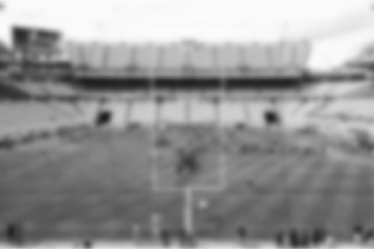 2017_Fan_Blitz0429to_376