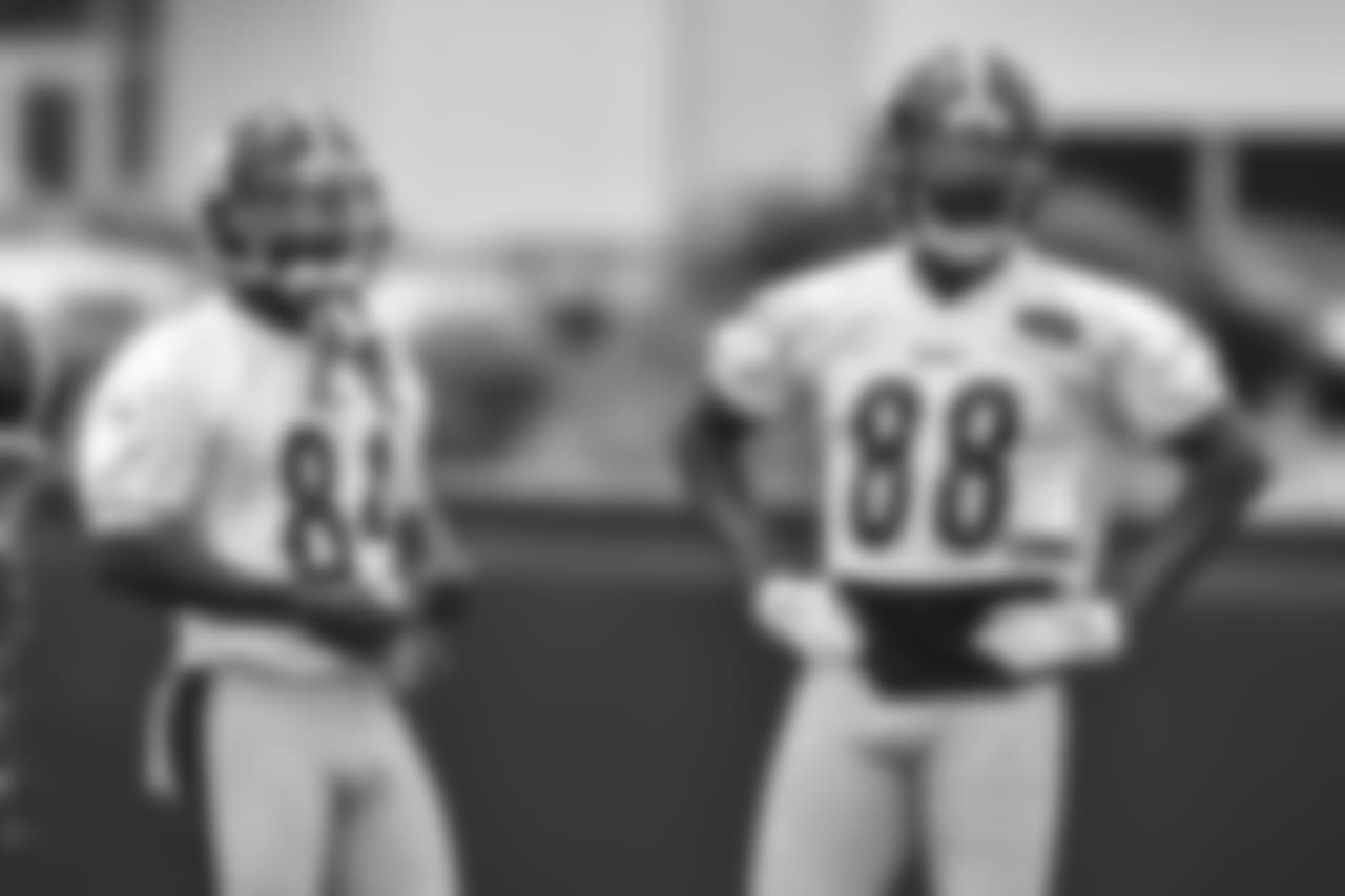 Antonio Brown and Darrius Heyward-Bey