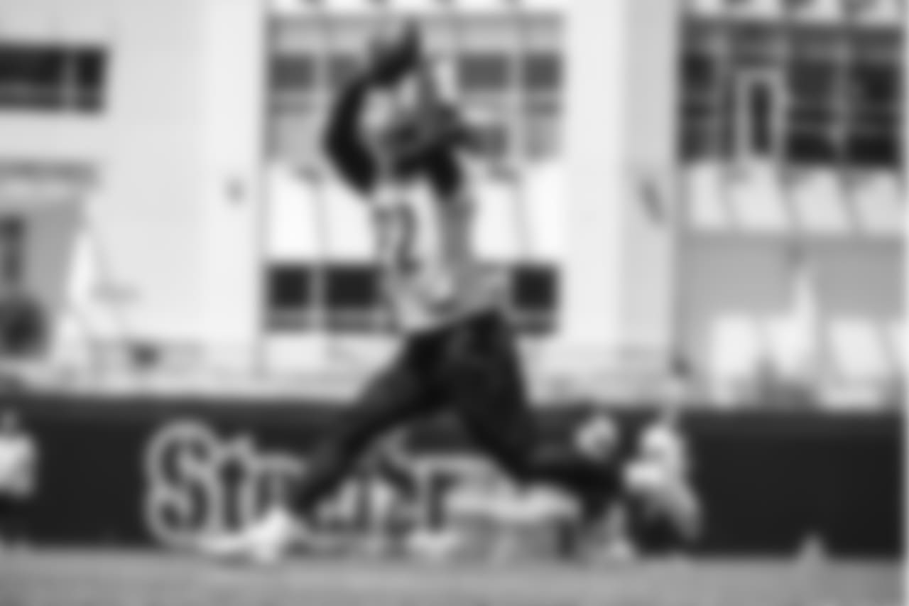Stevan Ridley