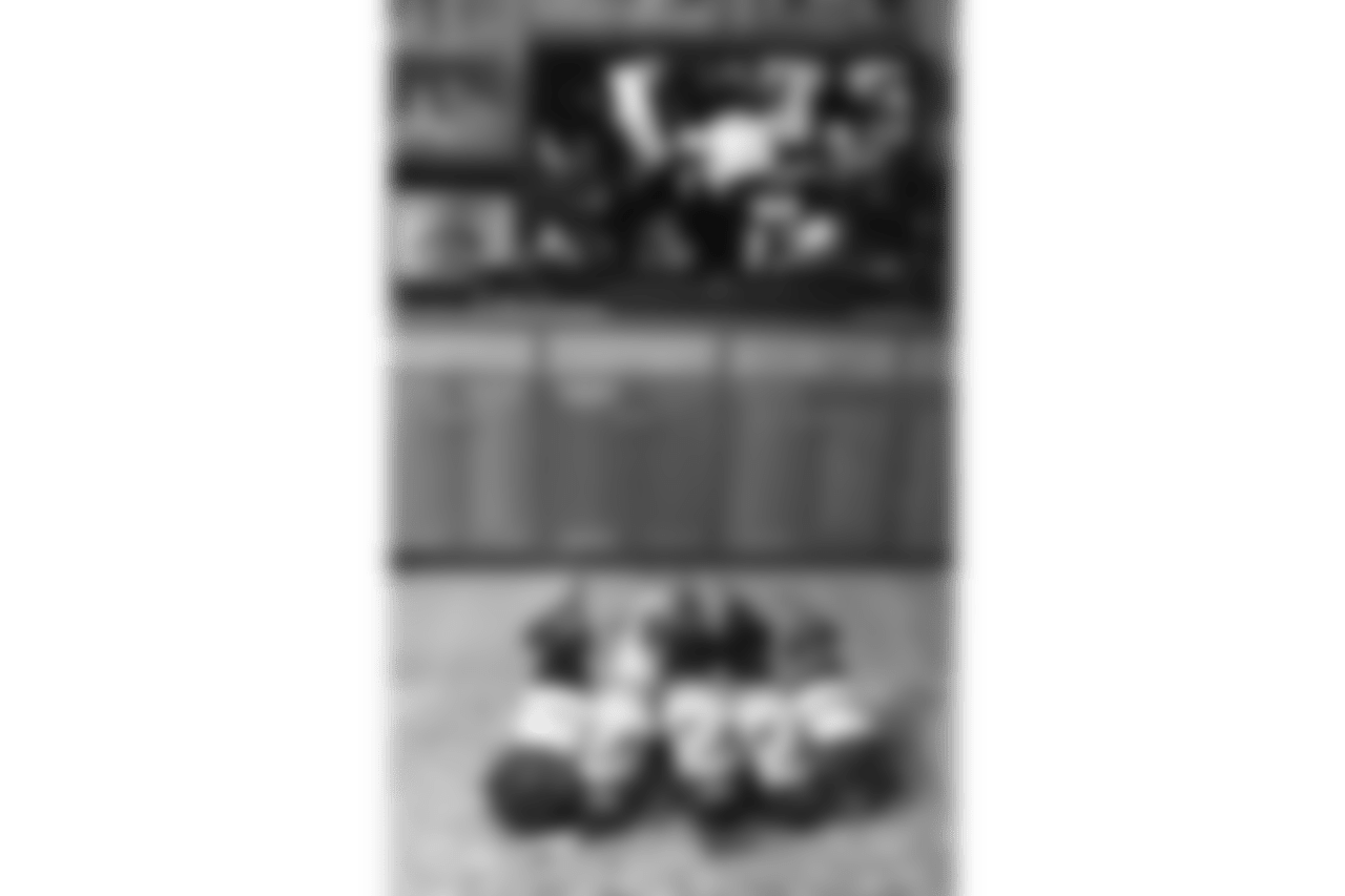53270_8_4250082385.png