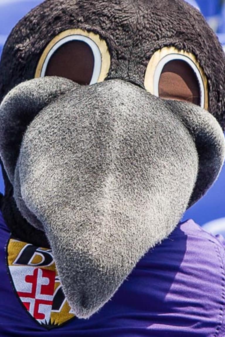 Ravens Mascot Appearances Form