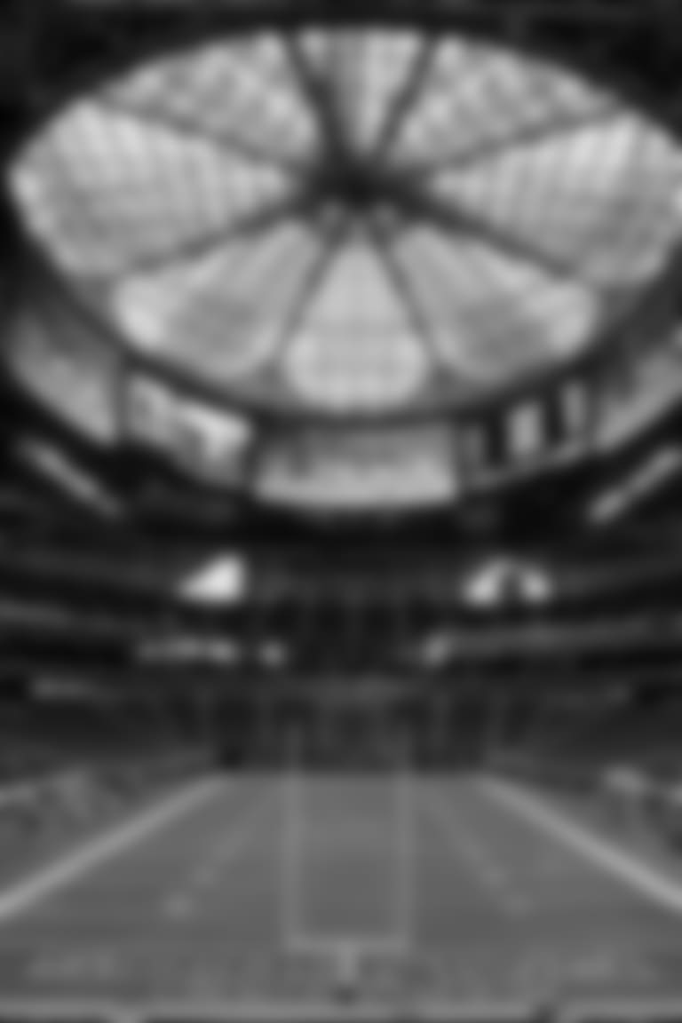 Falcons Fan Day 2018