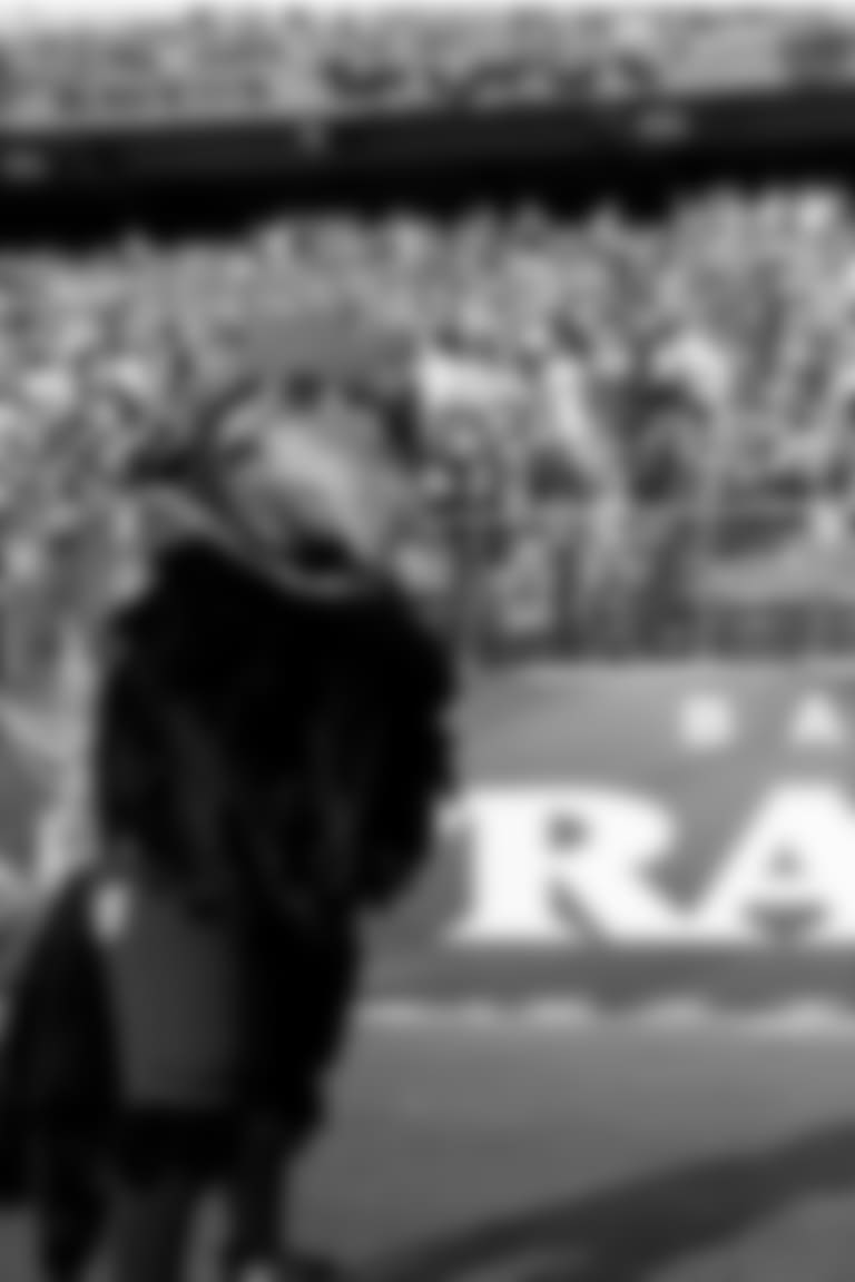 Ravens Mascots Baltimore Ravens